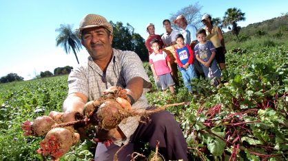 UGT desenvolve projeto em prol da agricultura familiar